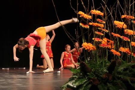 Zaključna prireditev  NTP 44 Foto Ljubo Vukelič